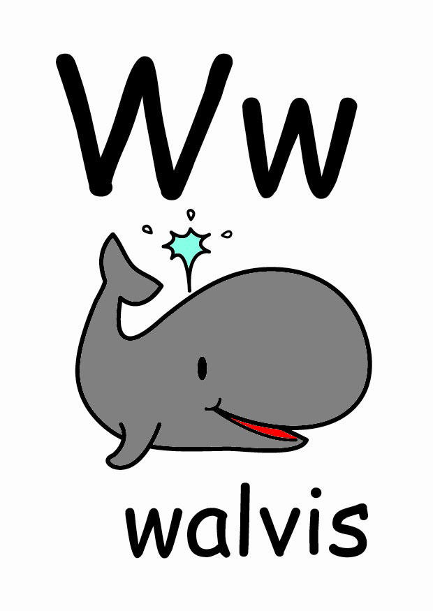 w imagem w
