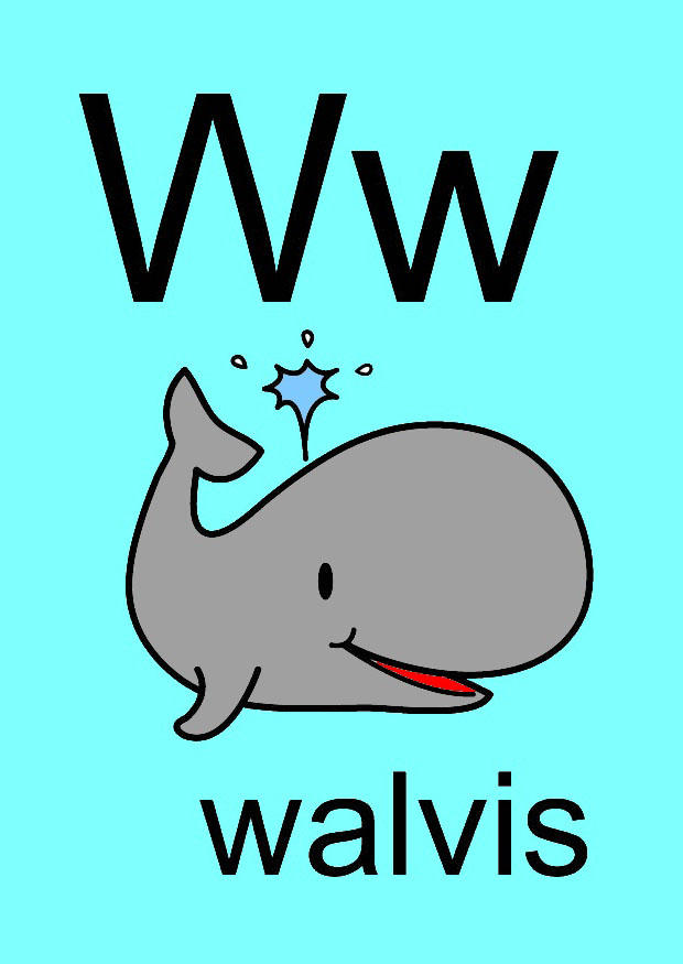 w imagem w