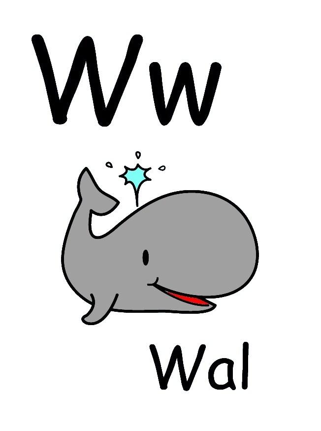 w imagem w