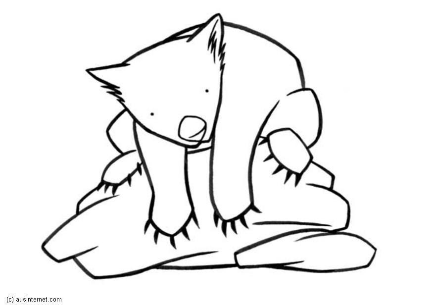 wombat Página para colorir wombat