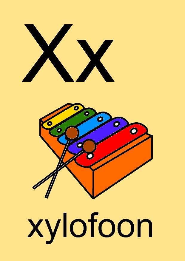 x imagem x
