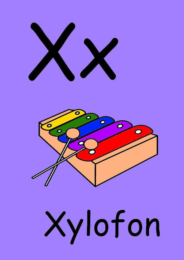 imagem x