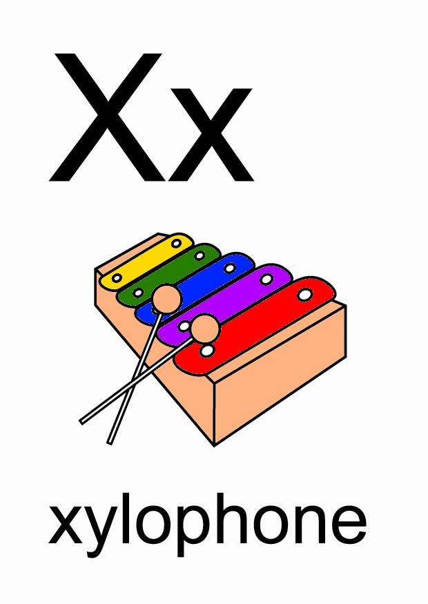 x imagem x
