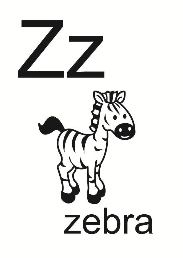 z imagem z