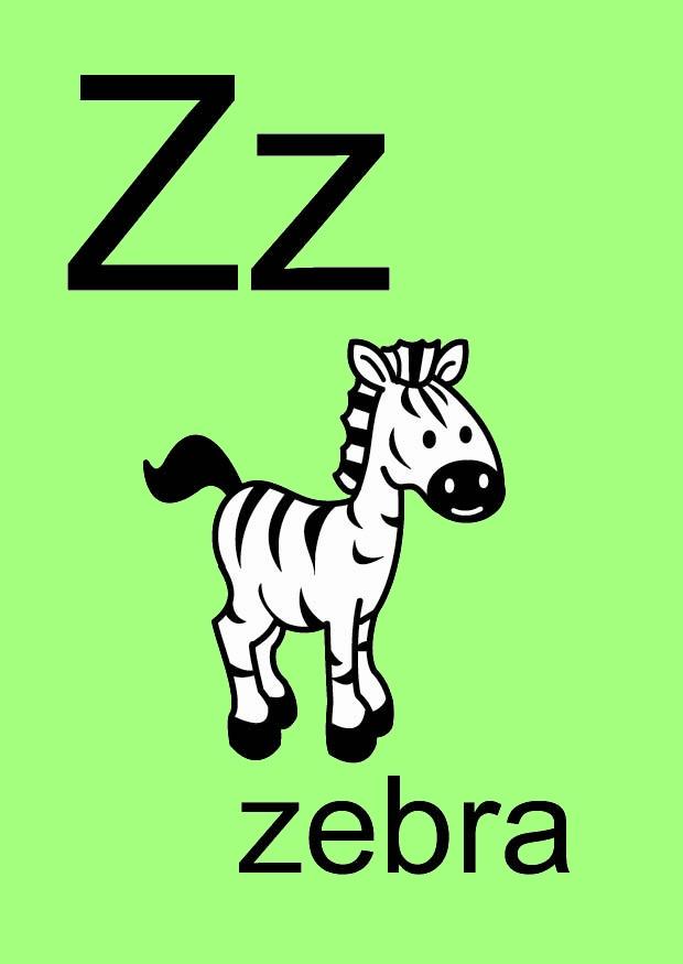 z imagem z