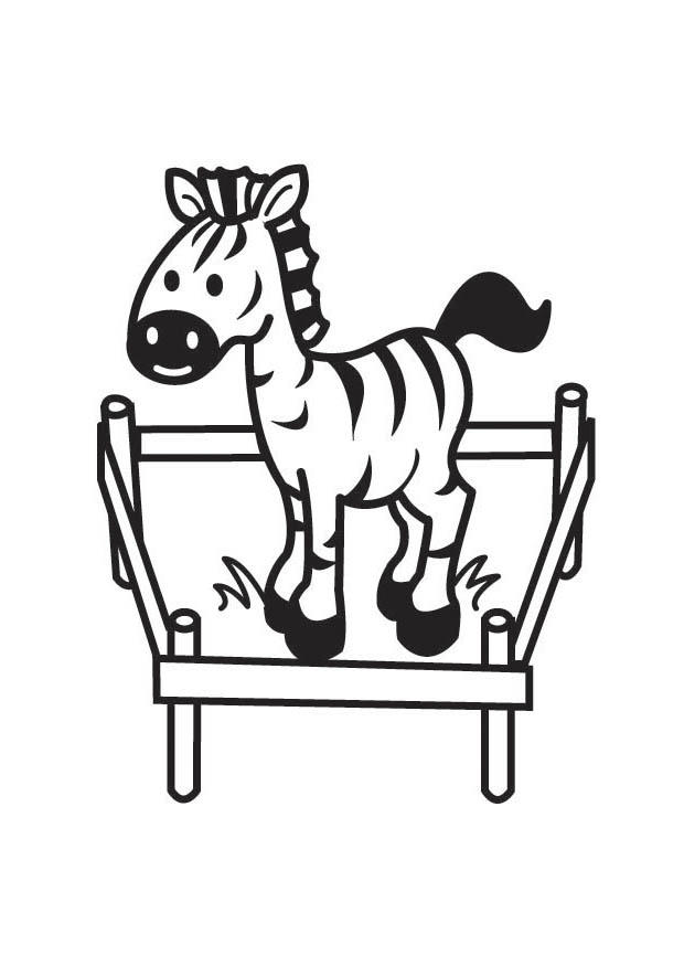 zebra Página para colorir zebra