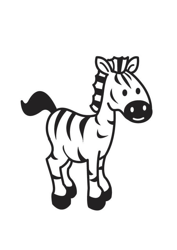 zebra Página para colorir zebra