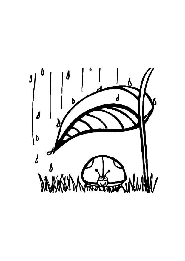 Página para colorir a joaninha se protege da chuva