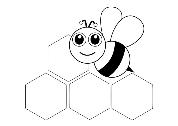 Página para colorir abelha - parte da frente 