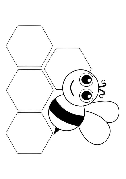 abelha - parte da frente 
