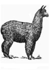 Página para colorir alpaca 