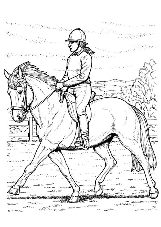 Página para colorir andar a cavalo