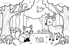 animais na floresta