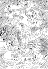 P�ginas para colorir animais na selva