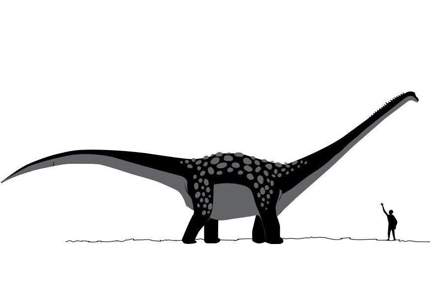 Página para colorir antarctosaurus