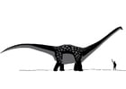 P�ginas para colorir antarctosaurus