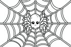 aranha na teia