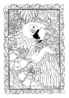 arara