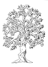 paginas-para-colorir árvore em flor