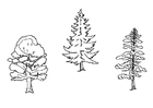 árvores 