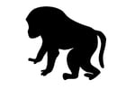 babuíno 