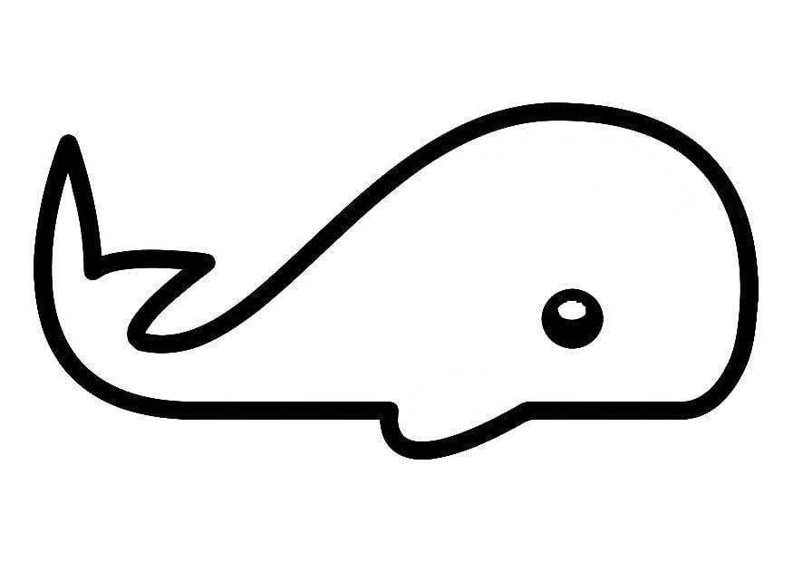 Desenhos para Colorir: Desenho de Baleia, baleia para colorir, imprimir  desenho de baleia