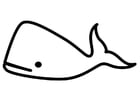Página para colorir baleia 