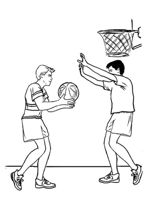 basquete