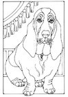 P�ginas para colorir basset 