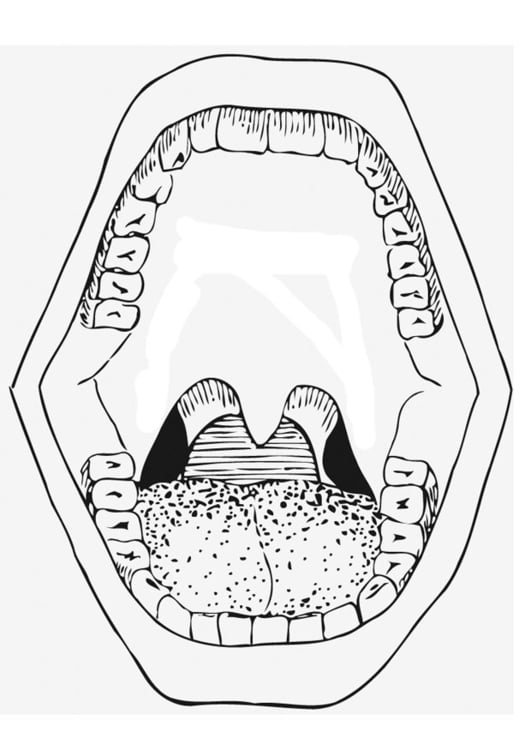 Página para colorir boca 