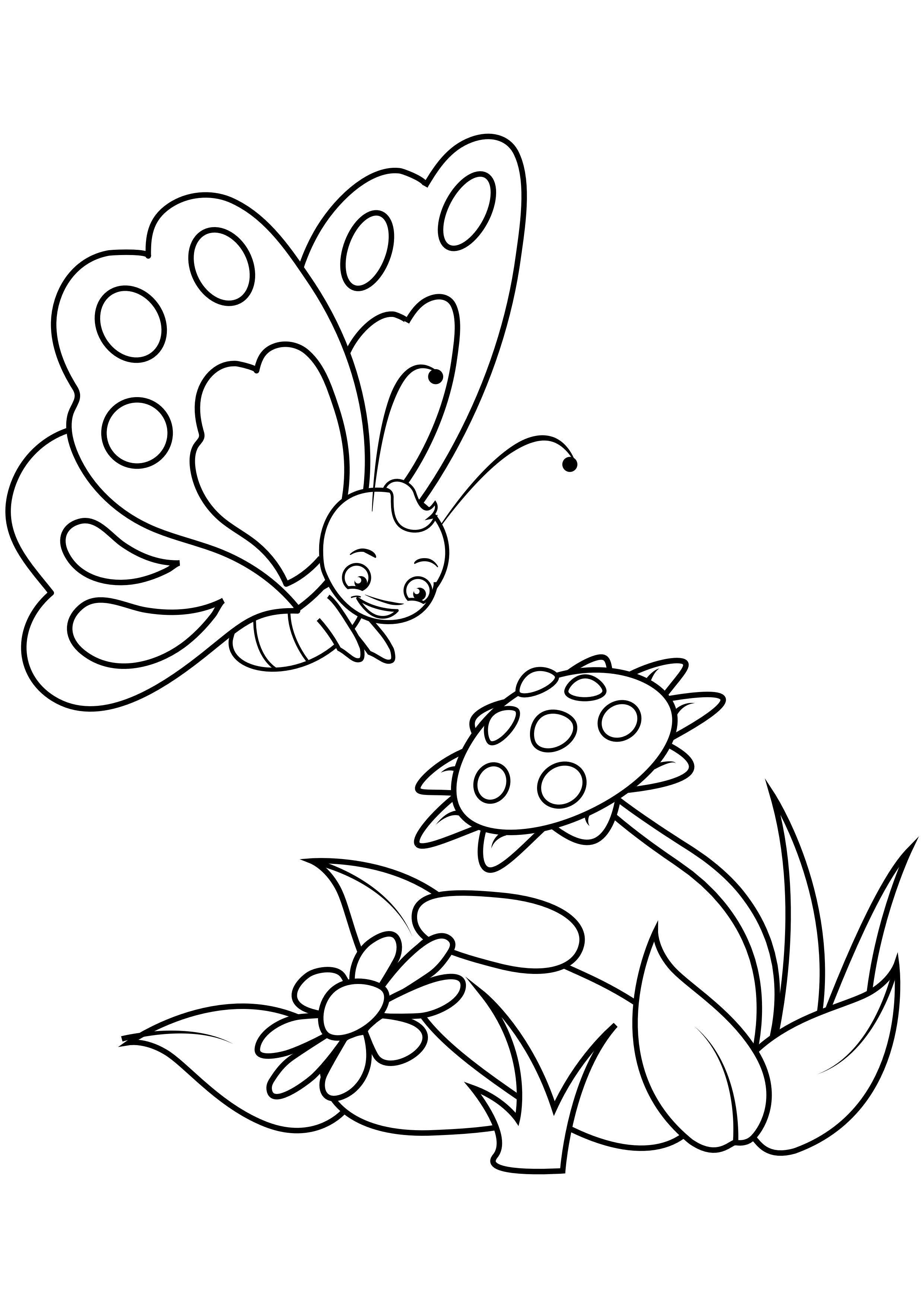Página para colorir borboleta com flores