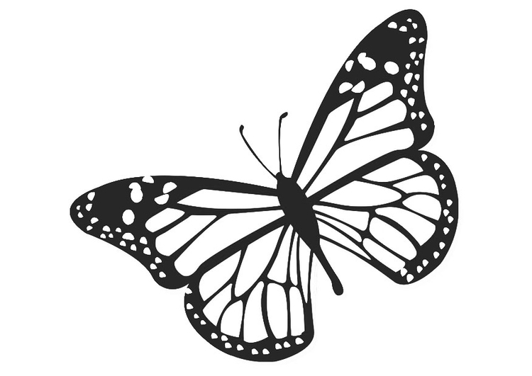 Página para colorir borboleta