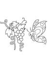 P�ginas para colorir borboleta em uvas