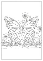 borboleta no jardim