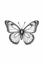 Página para colorir borboleta