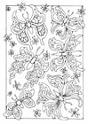 P�ginas para colorir borboletas 