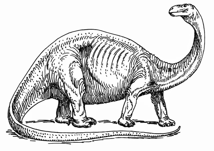 Página para colorir brontossauro 