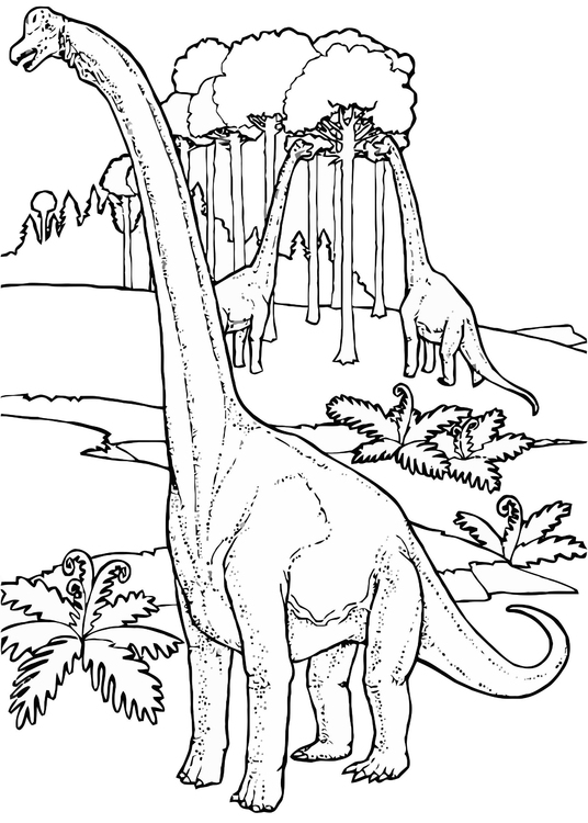 Página para colorir brontossauros