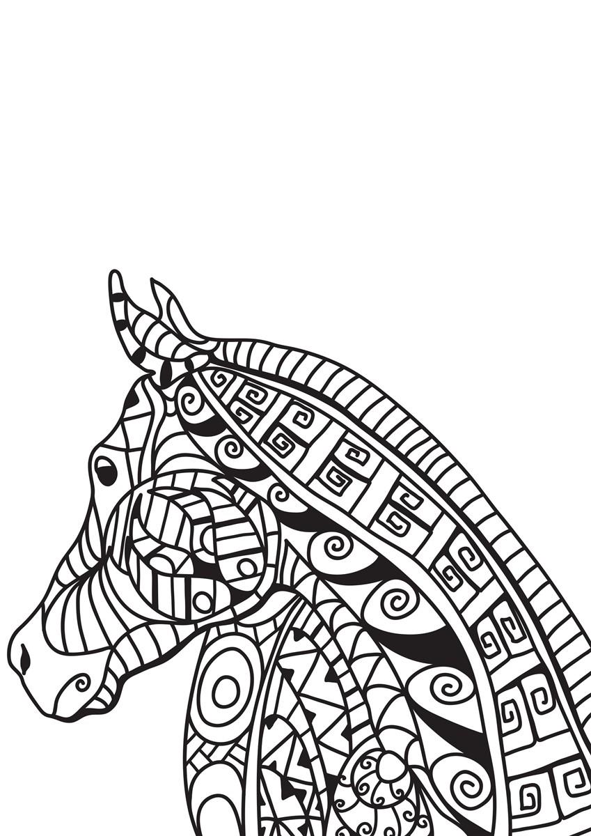 Página para colorir cabeÃ§a de cavalo