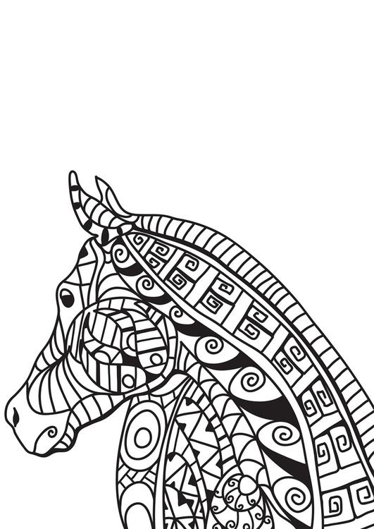 cabeÃ§a de cavalo