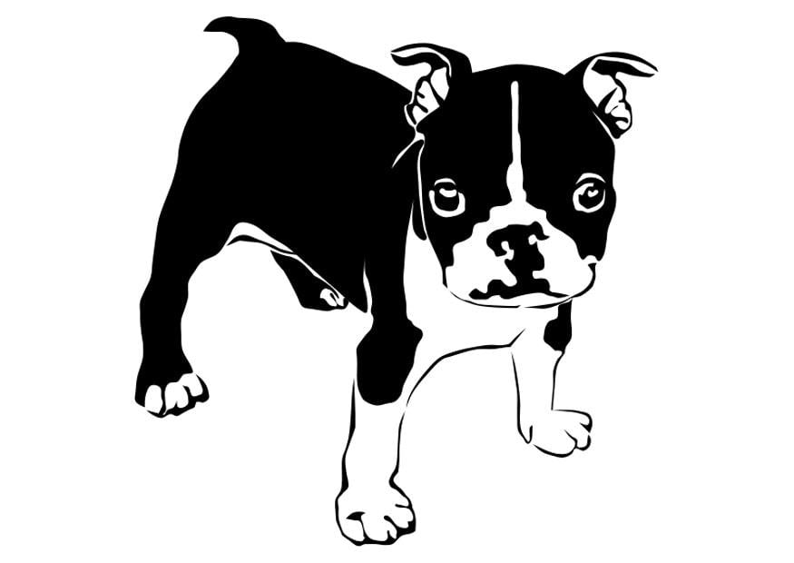 Desenho de Cão Bulldog para Colorir - Colorir.com