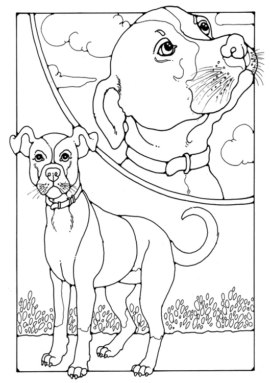 Página para colorir cachorro