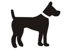 cachorro