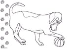 Página para colorir cachorro