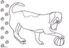 Desenho Para Colorir cachorro - pastor inglês - Imagens Grátis Para  Imprimir - img 27993