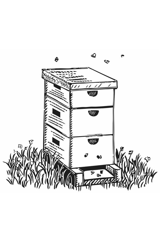 Página para colorir caixas de abelha 