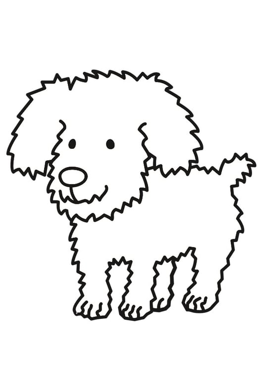 Página para colorir cão