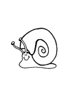 caracol