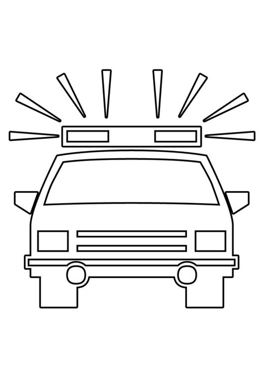 carro da polÃ­cia 