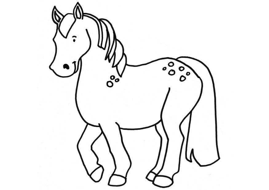 Página para colorir cavalo 